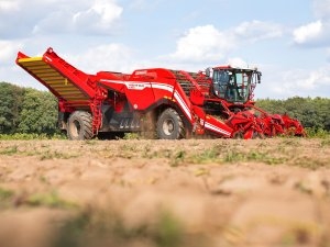 Grimme