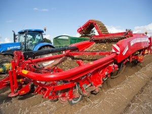 Grimme, GT300