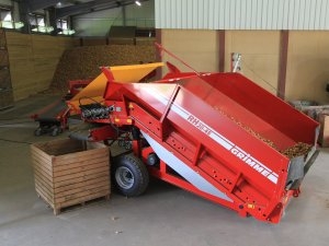 Grimme