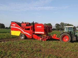 Grimme SE150-60