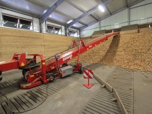 Grimme