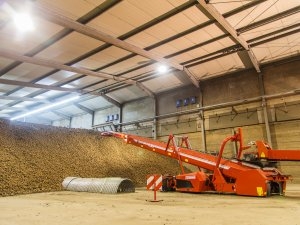 Grimme