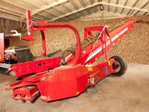 Grimme