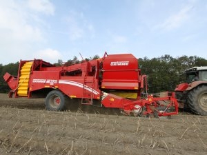 Grimme SV 260