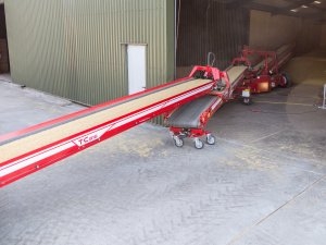 Grimme