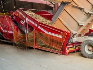 Grimme