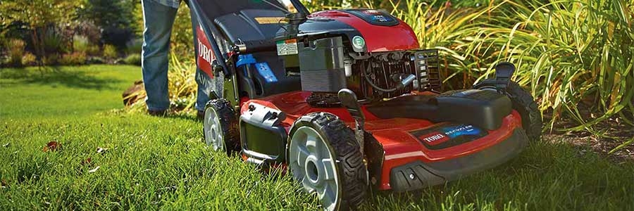 toro