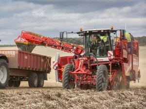 Varitron, Grimme