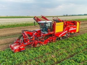 Grimme